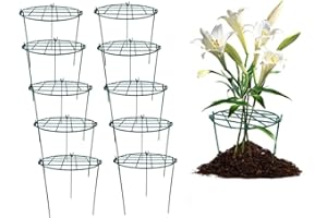 MTB SUPPLY 16 x 24 inch Grow Through Plant Support, Pack of 10 Peony Cages and Supports Plant Brace Flower Support Rings for Outdoor Plants Flowers Vegetables Support