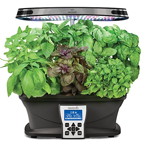 AeroGarden International Basil Seed Kit (7 pod)