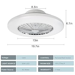 DLLT Ceiling Fan with Led Lights, 20'' Modern