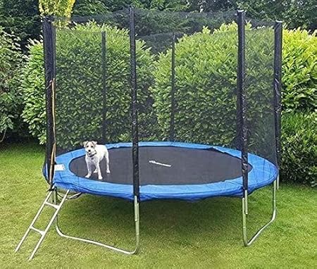 Viking Sports Garten Trampolin 305cm Mit Leiter Und Netz Tuv Rheinland Getestet Amazon De Sport Freizeit