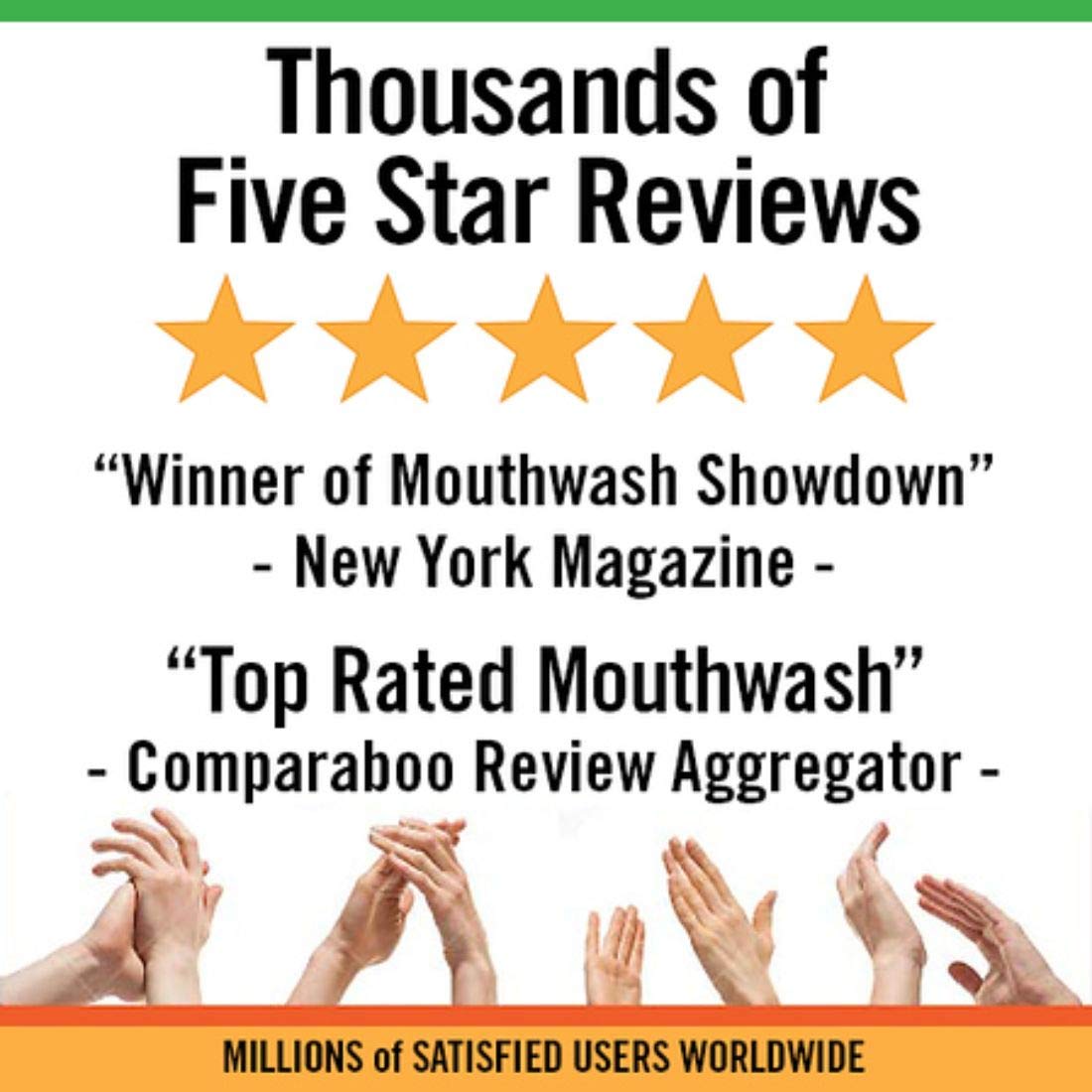 TheraBreath Fresh Breath Oral Rinse, Mild Mint, 16 Ounce Bottle (Pack of 2) : Mouthwashes : Beauty