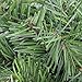 Canadian Pine Artificial Christmas Wreath - 18