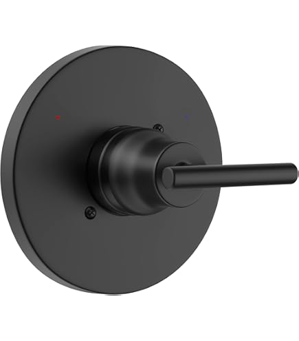 Have A Question About MOEN Chateau Posi-Temp Single-Handle Valve Trim