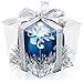 25 Clear Boxes for Cupcake or Mini Gift | Display with Single Individual Plastic Box for Large Cupcakes | Wedding Favor in Bulk