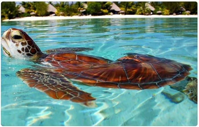 iRocket Interior Suelo Alfombra/Alfombrilla – mar Tortuga Bora Bora