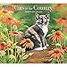Cats in the Country 2020 Calendar by 