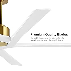 WINGBO 54 Inch DC Ceiling Fan without Lights, 5