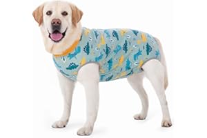 kzrfojy Dog Surgery Recovery Suit Dog Surgical Onesie for Female Male Dogs Soft Breathable Cone Alternative Abdominal Wounds Protector Post Spay Neuter After Surgery Wear (green, 3X-Large (Pack of 1))