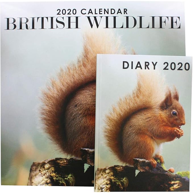 British Wildlife 2020 Calendar and Diary Set Amazon.co.uk Office Products