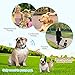 GoPetee Dog Bark Collar, Anti Barking Collar No Bark Control Training Collar with Beeps and Vibration - Safe Waterproof No Shock Stop Barking Collar Device for Small Medium Large Dogs