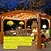 Brightech Ambience Pro Incandescent Outdoor String Lights - Commercial Grade Waterproof Patio Lights with 24 Ft Dimmable Edison Bulbs, Porch String Lights for Patio, Backyard, Christmas - 7 Bulbs 11W