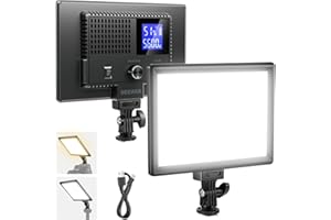 NEEWER Basics 9" LED Video Light Panel, 3200-5600K Edge Lit Dimmable Camera Soft Key Lighting, CRI95+ 800Lux 4000mAh Recharge