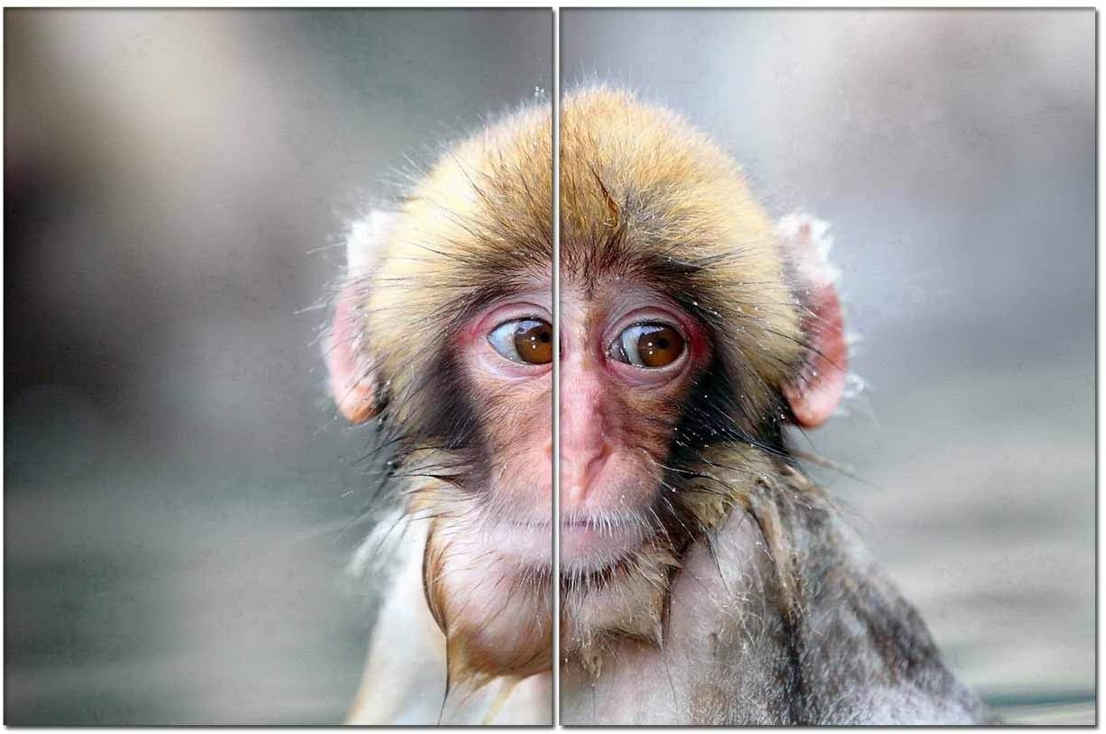 Amazon Com Pigbangbang 2 Ps Waterproof Artwork On Canvas Sad Monkey Art Wall Art Lovers Modern Giclee Artwork Home Decor Stretched And Framed Ready To Hang 12 X16 Posters Prints