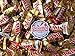 Twix Caramel Mini Bars - 1.5 lbs of Fresh Delicious Assorted Bulk Mini Bars of Candy with Refrigerator Magnet