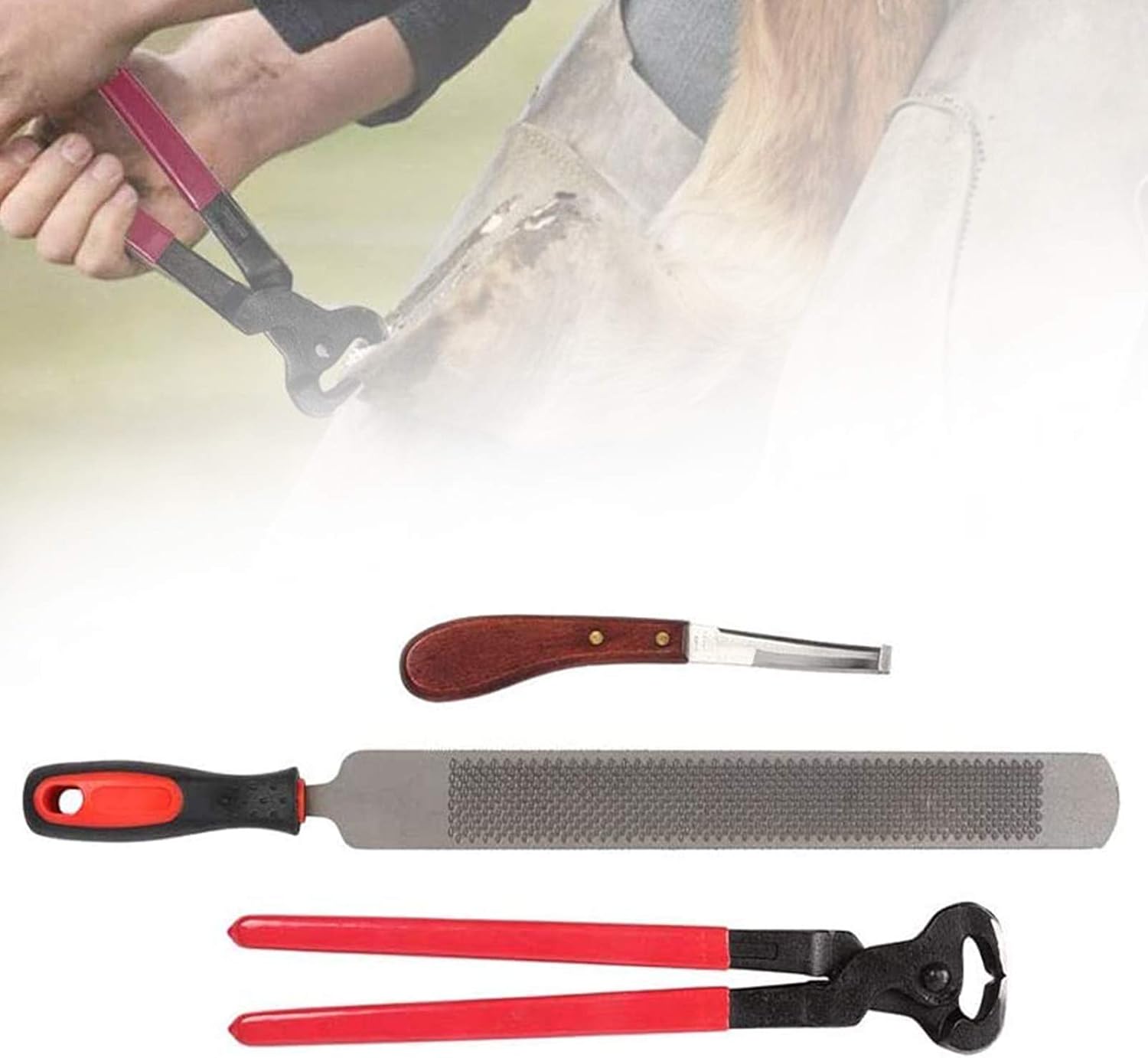 ZHVBC Horse Farrier Hoof Trim Tool Kit, Rasp Hoof Cutter Set, Suitable