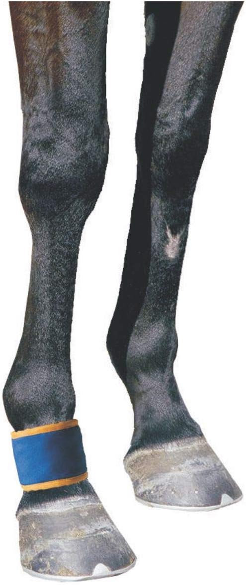 Dick Wicks DW09PFB Magnetic Pastern & Fetlock Boot