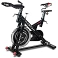 Bladez Fitness Master GS Indoor Cycle (D132)