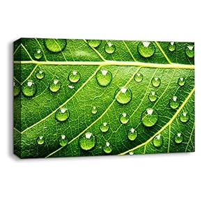 wall26 Canvas Wall Art Leaf Veins Pictures Home...
