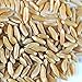 Organic Kamut Seed- 2.5 Lb- Kamut Grain Seeds- for Growing Kamut Grass, Flour, Bread, Baking, Cooking, Food Storage, Sprouting