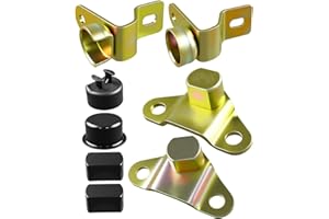 QNHEAY Tailgate Hinge and Insert Bush Cover Kit Fit for Chevy Silverado GMC Sierra 1999 2000 2001 2002 2003 2004 2005 2006 Replace 38642 15074252 15074253 15078745 15078746