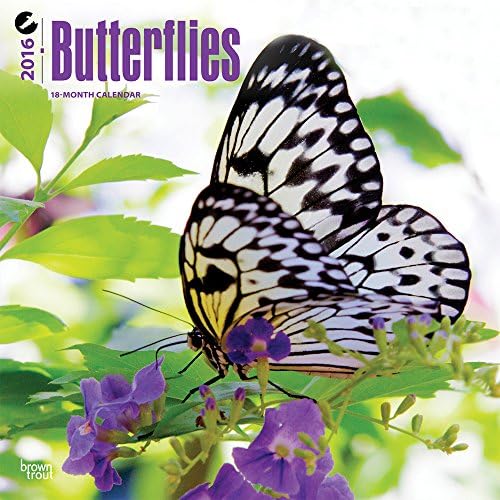 Butterflies - 2016 Calendar 12 x 12in
