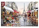 Tonzom Paint by Numbers Kit 16x20 inches Diy Oil Painting with Acrylic Pigment Anniversary Gifts for Boys and Girls - Romantic Paris Street Eiffel Tower (Without Frame)