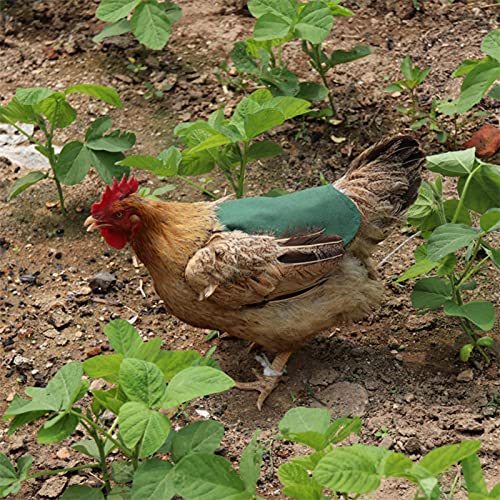 Cirdora Henne Sattel Schürze Huhn Weste, Henne Hühnersattel Schürze, Geflügel Sattelschürze, Pet Vest Huhn Kleidung… – Bild 8