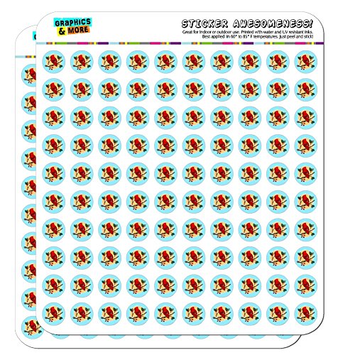 Red Cardinal on Snowy Holly Branch 1/2