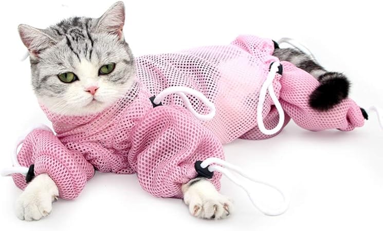 high in fibre dog food