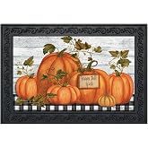 Briarwood Lane Doormat 30x18 Indoor Outdoor Happy Fall Y'all Farmhouse Primitive for Fall Doormat