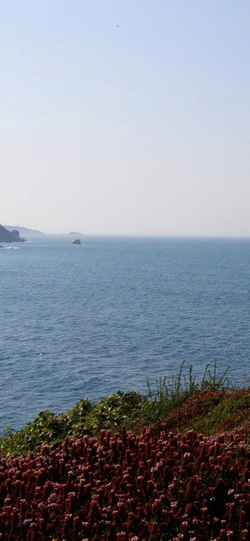 PeelitStickit, Beautiful Nature Wall Murals, ID-2902, vinyl