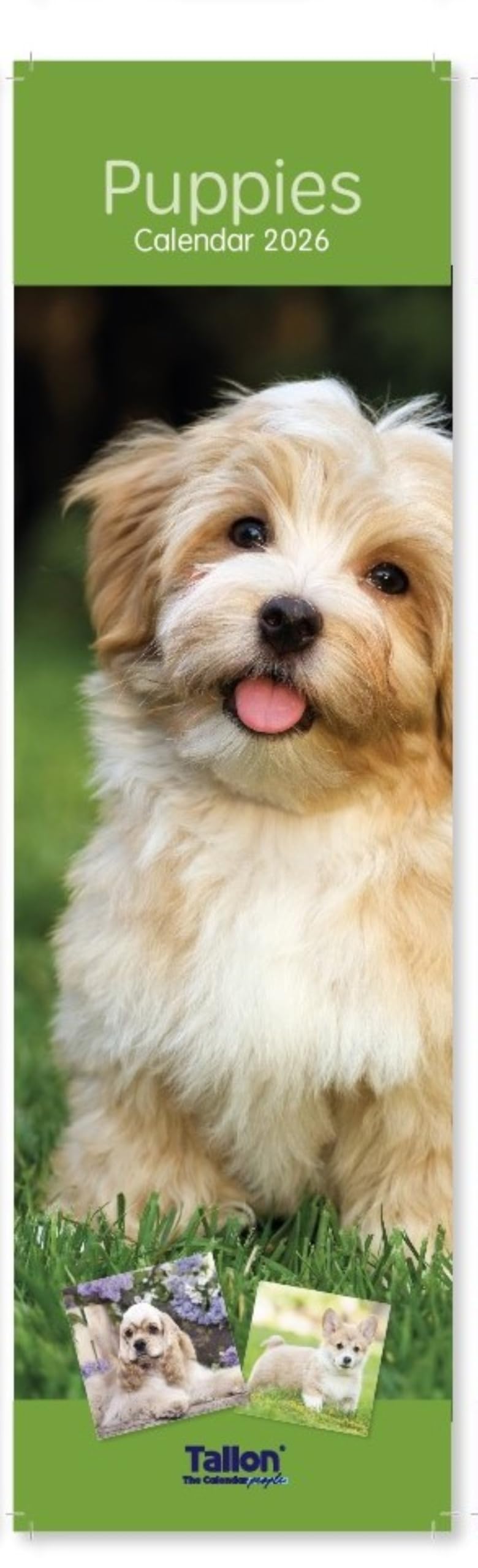 2026 Super Slim Month To View Spiral Bound Photo Wall Calendar (Puppies) — image 1