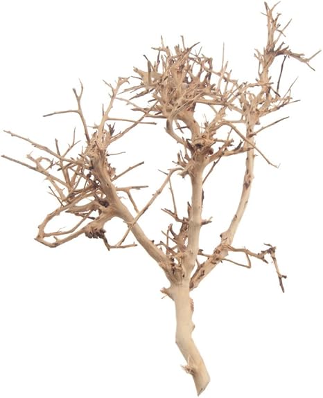 Emours Veritable Tronc D Arbre En Bois Flotte Avec Nature Branches Plantes D Aquarium Decor Ornement 9 30 5 Cm Amazon Fr Animalerie