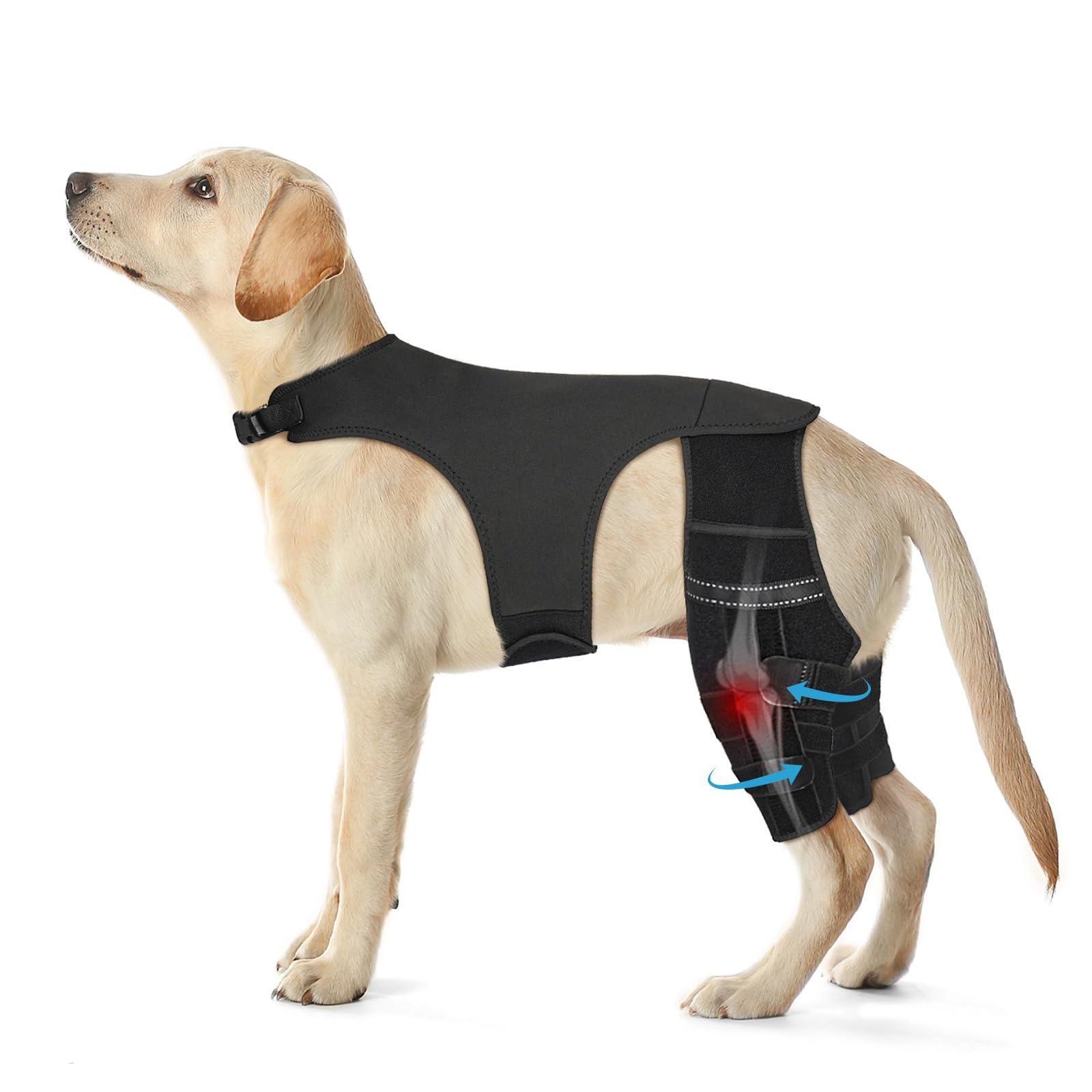 Photo 1 of Pawfun Dog Knee Brace for Torn ACL Hind Leg, Adjustable Dog Leg Braces for Back Leg with 4 Metal Stabilizers Helps with Torn CCL, Luxating Patella, Ligament Injuries, Hip Dysplasia,L