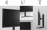 LG 34WP550-B UltraWide Monitor 34-inch IPS 75Hz 5ms FreeSync HDR10 Ergonomic view 2