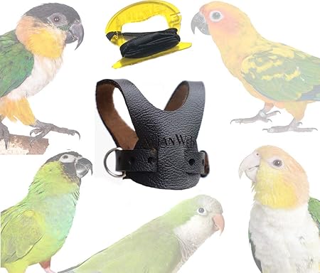 avianweb ez bird harness with leash