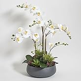 CG Hunter Faux Orchid Plant w/Succulents, Premium Artificial Indoor Flower Display Stands 24” w/Beautiful Sculptural Blooms and Succulents That Lasts Forever, Grey Planter Pot Included