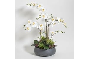 CG Hunter Faux Orchid Plant w/Succulents, Premium Artificial Indoor Flower Display Stands 24” w/Beautiful Sculptural Blooms and Succulents That Lasts Forever, Grey Planter Pot Included