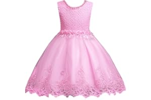 DreamHigh Flower Girl's Floral-Embroidered Pearl Embellished Evening Dress Up 3-10Y