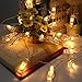 20Ft Battery Operated Indoor and Outdoor String Lights| with 40 LED Warm White Photo Clips| to Hang hold Photos, Artwork & Christmas Cards