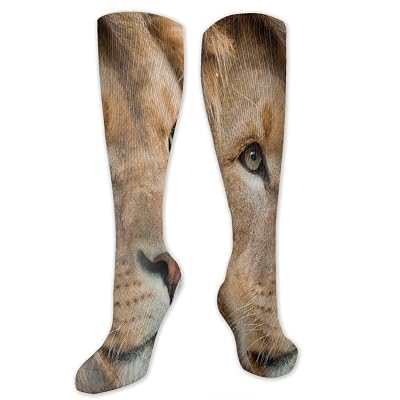 Compression Socks Animal Lion Head Womens Winter Sock Holiday Tight Stocking For Girls Men Boys Teen