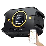 BougeRV Li 30A PWM Solar Charge Controller 12V