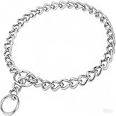 Chain Choke Collar for Dogs, Metal Slip Link Training Heavy Duty Dog Choker Collar Martingale Puppy Collars for XS Small Medium Large Big XL Breed Dogs (Silver, XS(Neck Max 12inch) D2.0mm)