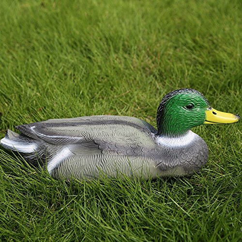 Home-organizer Tech 14 inch Hunting Bait Swimming Drake Duck Toy Figure Farm Mallard Duck Hunting Garden Decoration Floating Water (Male)