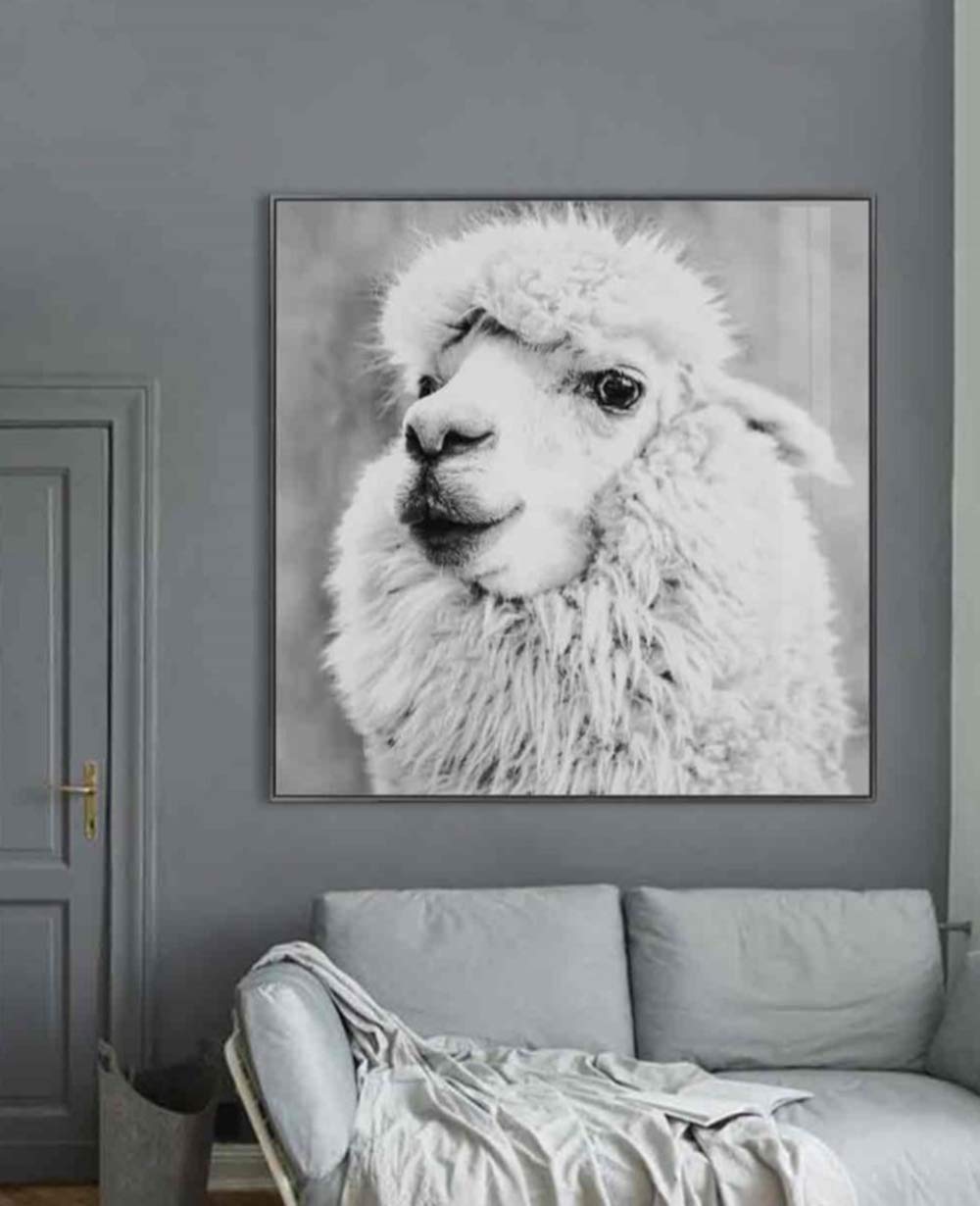 Febland Alpaca Glass Art Picture, White, Square