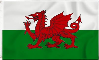Storm&Lighthouse Welsh Flag Cymru 5ft x 3ft with Eyelets Red Dragon