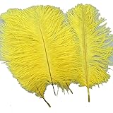 ADAMAI 10PCS Natural 7.8-9.8inch Ostrich Feathers