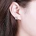 RoseSummer Dogpaw Earring Silver Plated Dog Paw Print Ear Studs Dog Lovers Jewelry (silver)