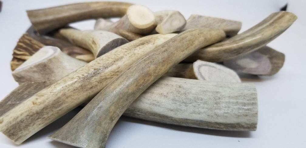Bullysticks Organic Antlers for Dogs, Natural Elk Antlers for Dogs, Nutritious, Long Lasting Chews, USDA Approved (1 Pound of 4"-5" Chews)