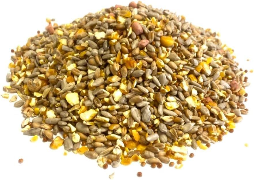 500g Robin Mixture Premium Wild Bird Foods SMW